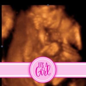 Meet your Posher, Sammy